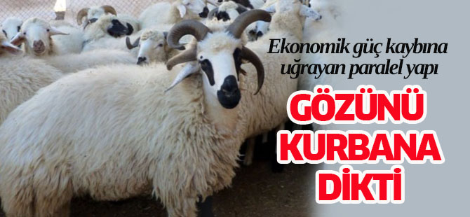 Paralel gözünü kurbana dikti!