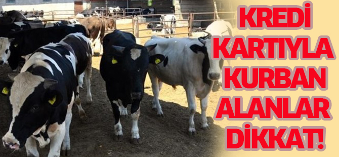 Kredi kartıyla kurbanlık alanlara uyarı