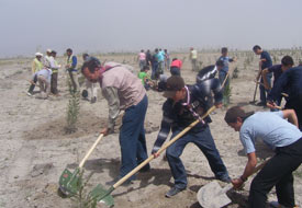 Kulu'da 40 kişiye fidan dikme cezası