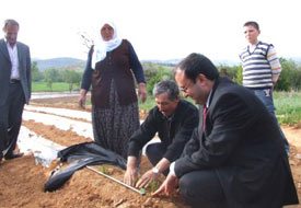 Derbent, organik tarım için yüksekokul istiyor