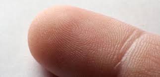 Parmakları hazırlayın! Ne zaman başlıyor?