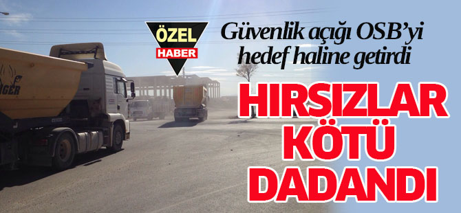 Organize Sanayi Bölgesi, hırsızların mekânı oldu