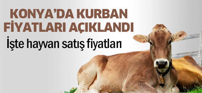 KONYA’DA KURBANLIK kaç lira?