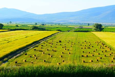 Büyükşehirden Seydişehir'e tarımsal destek
