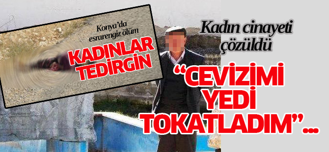 "Cevizimi yedin" cinayeti