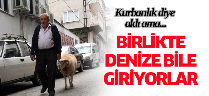 Bu da sosyetik koç !