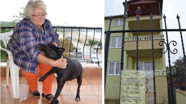 Ev kiralık ama bedava!