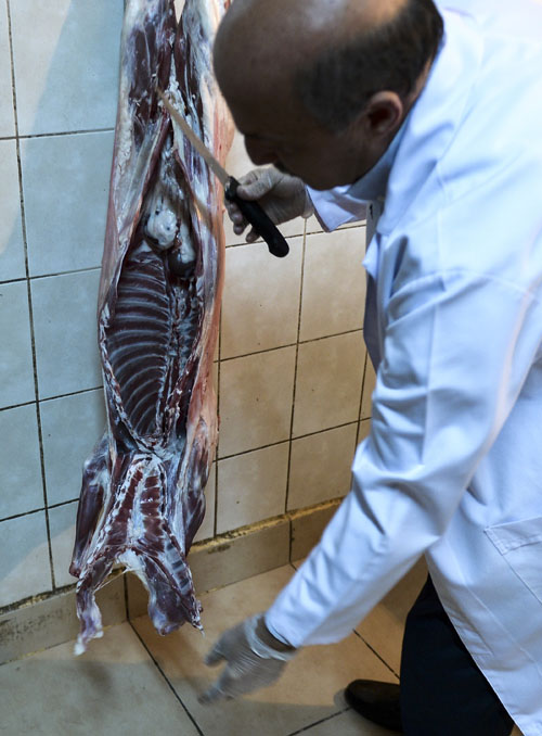 Bosna Hersek'ten Türkiye'ye et ihracatı