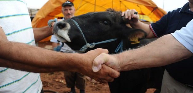 Bakanlık uyardı: Bunu kesinlikle yapmayın!169  TL cezası var
