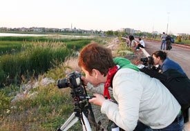 Türkiye yaban hayatı fotoğraf yarışması