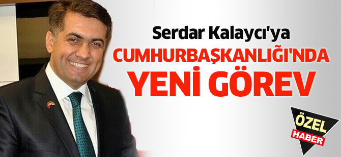Serdar Kalaycı'ya Cumhurbaşkanlığı'nda yeni görev