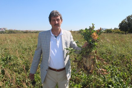 Hüyük'te şeker pancarı üretimi yüz güldürdü