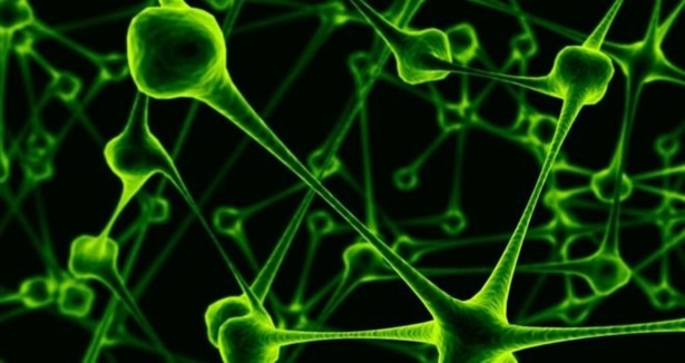 Bu ilde 34 köy karantinaya alındı!