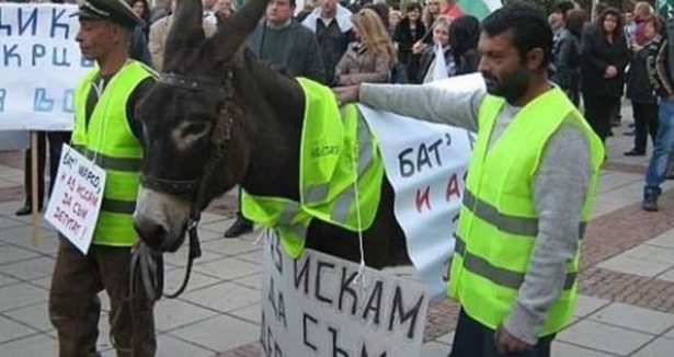 Türklere eşekli hakaret