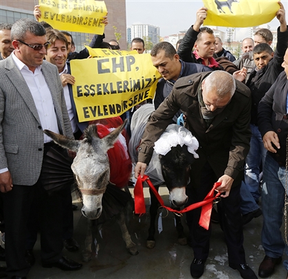 CHP Genel Merkezi yanında eşeklere nikah kıydılar