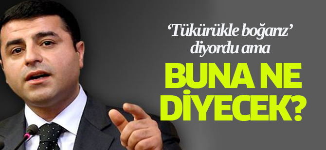 Başbakan: 300 PYD'liye Gidin Dedik Gitmediler
