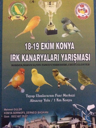 Kanaryalar Konya'da yarışacak