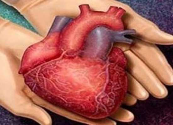 Organlarıyla 5 kişiye umut oldu