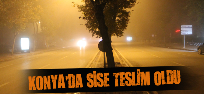 KONYA'DA SİSE TESLİM OLDU