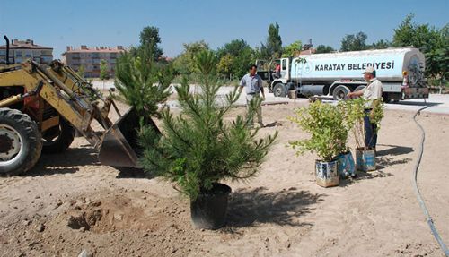 Ağaçlandırma çalışmaları tam gaz