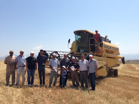 Beyşehir'de biçerdöver kontrolleri dane kaybını en aza indirdi