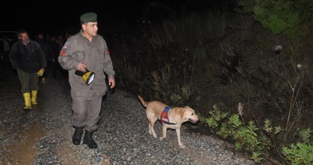 Yalova'da 52 öğrenci kayboldu!