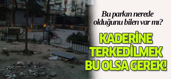Bu park kaderine mi terk edildi?