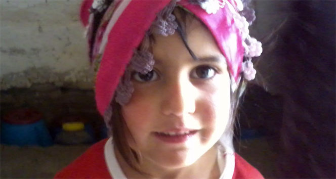 Nehir'i arama çalışmaları yeniden başladı