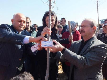 AK Parti Konya’dan fidan dikimi…