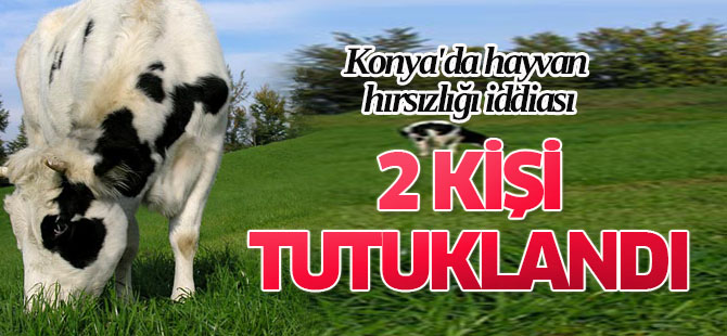 Konya'da hayvan hırsızlığı iddiası