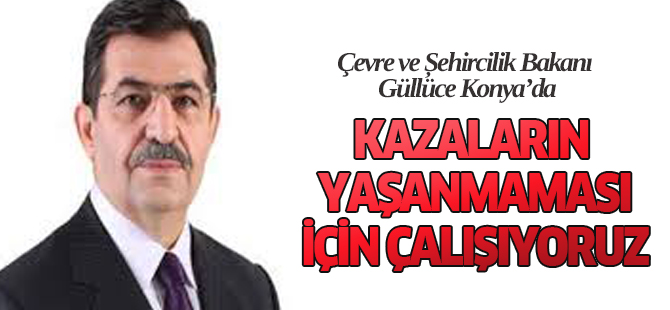 Çevre ve Şehircilik Bakanı Güllüce, Konya'da: