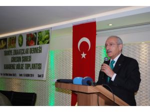 Gümrük ve Ticaret Bakanı Canikli, Giresun'da: