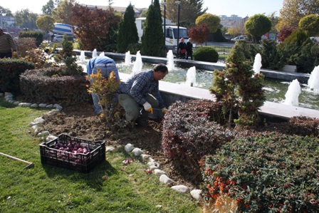 Karatay baharı çiçeklerle karşılayacak