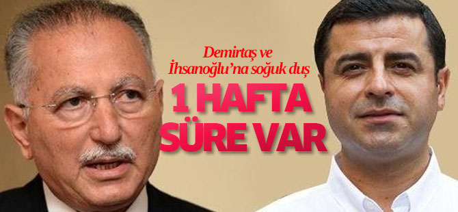 YSK, İhsanoğlu ve Demirtaş'a 1 Hafta Süre Tanıdı