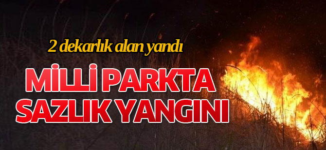 Beyşehir Gölü Milli Parkında sazlık yangını