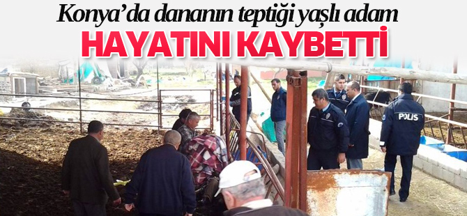Dananın teptiği yaşlı adam hayatını kaybetti