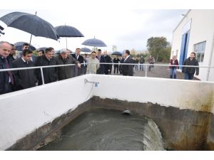 Orman ve Su İşleri Bakanı Eroğlu, Kocaeli'nde