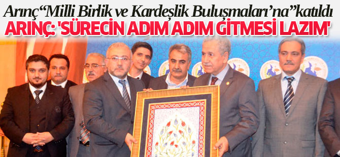 Arınç: 'Sürecin adım adım gitmesi lazım'