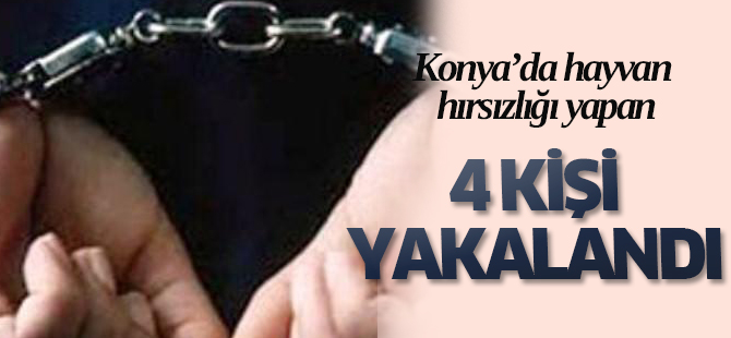 Akşehir'de hayvan hırsızlığı yapan 4 kişi yakalandı