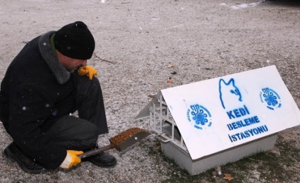 Selçuklu'da Hayvanlar Unutulmadı