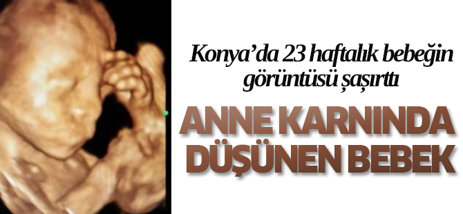 Anne Karnında Düşünen Bebek