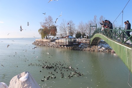 Hayvanlara yiyecek bırakıldı