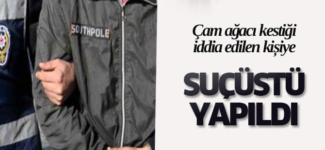 Ormandan çam ağacı kestiği iddia edilen kişi yakalandı