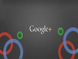 Bedelli Askerliği duyan Google'a koştu!