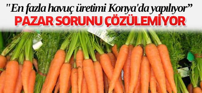 Havuç üretiminin yüzde 90'ı üç ilden