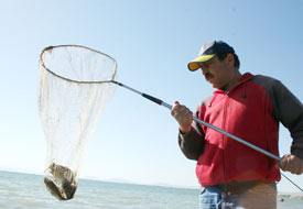 Olta meraklıları Beyşehir'i seviyor
