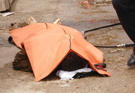 Elektrik direğinden düştü