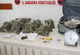 Konya'da esrar operasyonu