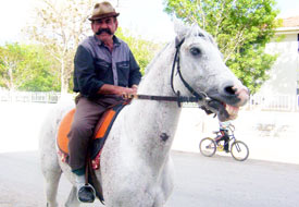 Boğazına çivi takılan 'cimbom' telef oldu