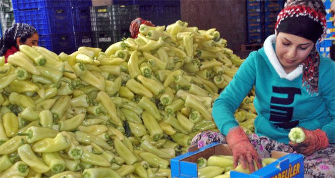 Rusya'daki devalüasyon Türkiye’yi vurdu